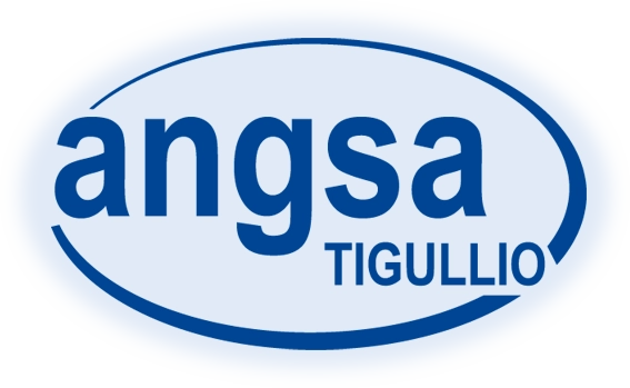 ANGSA Tigullio, Associazione Nazionale Genitori PerSone con Autismo.