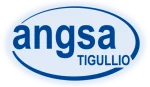 ANGSA Tigullio, Associazione Nazionale Genitori PerSone con Autismo.